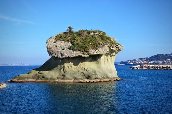 Fungo Di Lacco Ameno